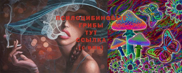 apvp Алексин