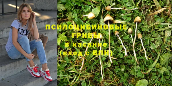 apvp Алексин
