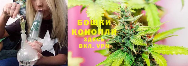 дурь Алзамай