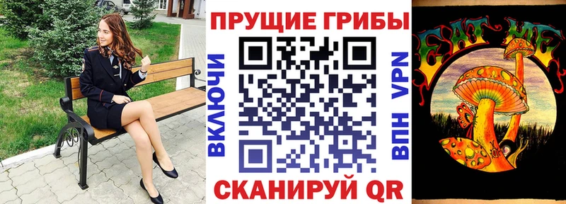 Псилоцибиновые грибы Cubensis Оса